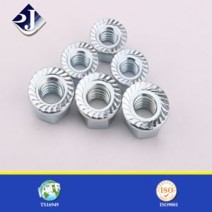 China Fabrikant Leverancier ANSI / ASME B 18.16.4 Hex Flens Noten Serrated